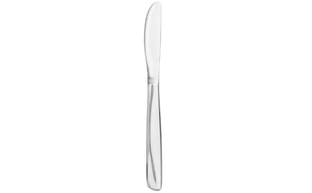 Stainless Steel Butter Knife